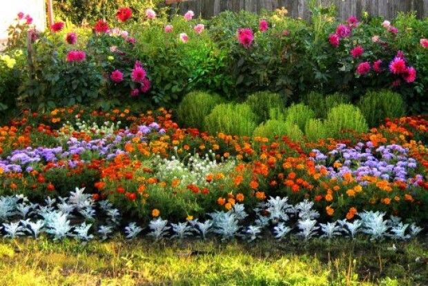 Створіть клумби пролонгованого цвітіння