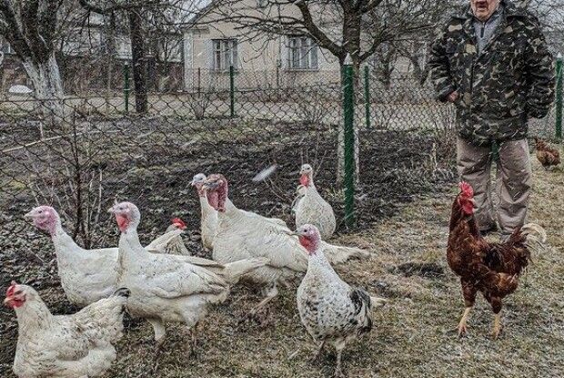 Без прикрас і ретуші: волинський фотограф показав справжній Нововолинськ (Фото)