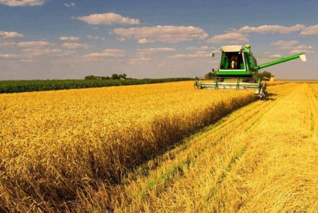 На Волині смертельно травмувалося двоє працівників