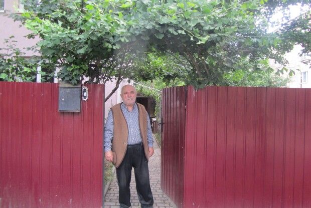 Найбільша українська плантація гінкго росте в Рівному