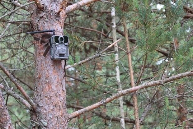 У нацпарку на Волині встановили фотопастки для боротьби з браконьєрами