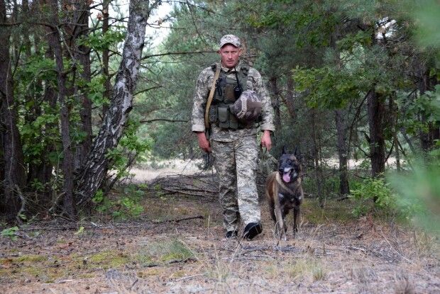 Вартові кордону: як дует Миколи та Агреса шукає порушників у волинських лісах