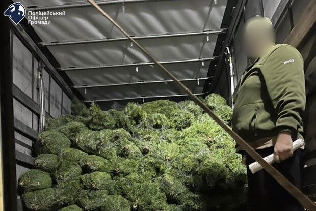 На Волині зупинили вантажівку з «нелегальними» новорічними деревцями