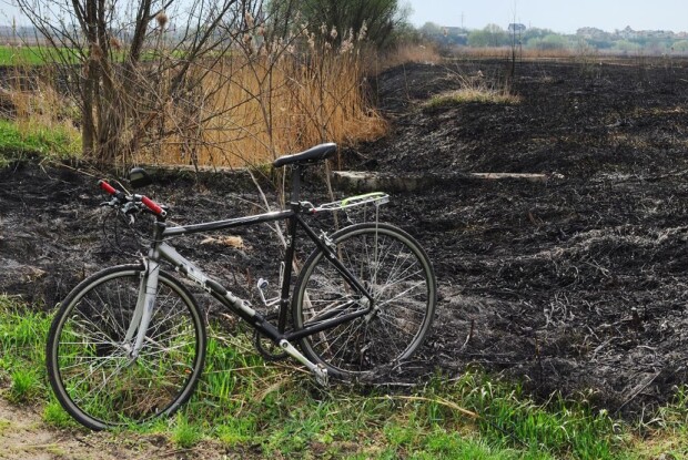 У Луцьку «тільки гнітючий сморід спаленого живого» (Фото)