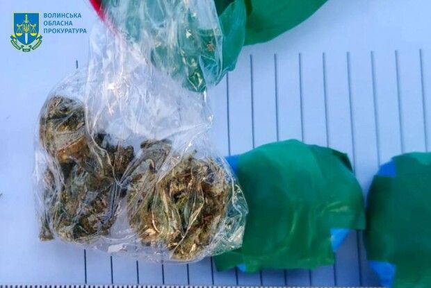 Перед судом постануть двоє волинян, які розкидали «закладки» з канабісом