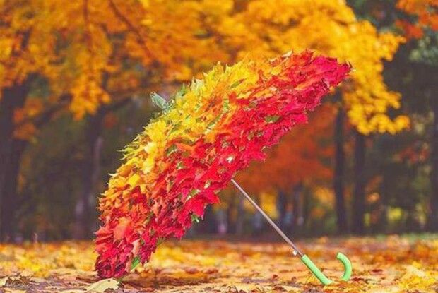 Поезія від «Газети Волинь»: А раптом ми загубимось в світах?