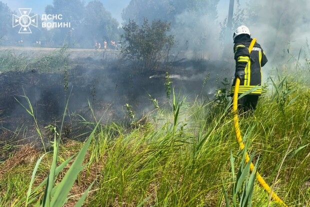 На Волині недбалість туристів ледь не спалила узбережжя Світязю