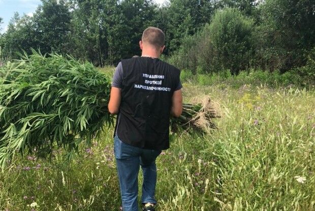 Троє старовижівських безробітних промишляли наркотою