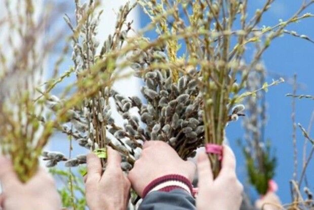 Погода на 25 квітня: Вербна неділя освіжить нас нічними заморозками та північно-західним вітром