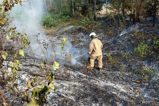 На Волині вогонь знищив 4 гектари сухої трави