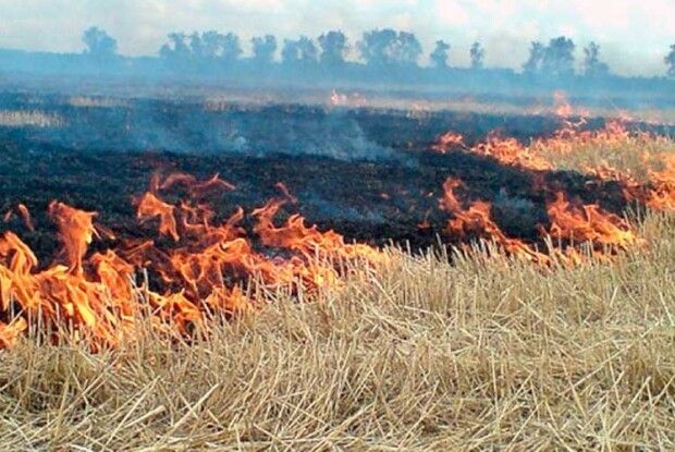  За знищення трави встановили штраф у 150 000 гривень!