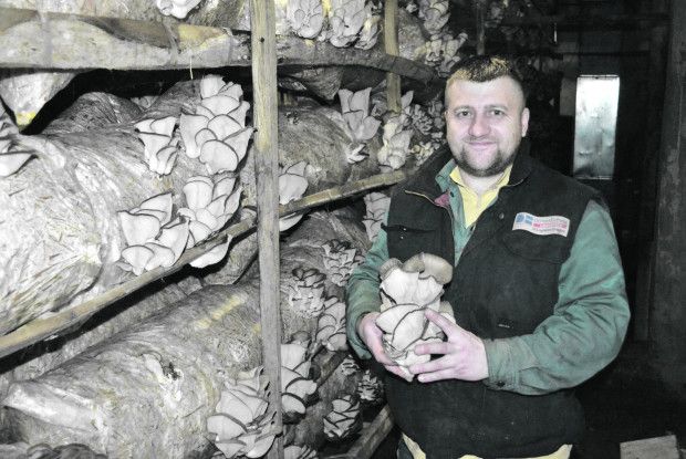 «Коли стоїш між стелажами, то гриби ніби говорять з тобою»