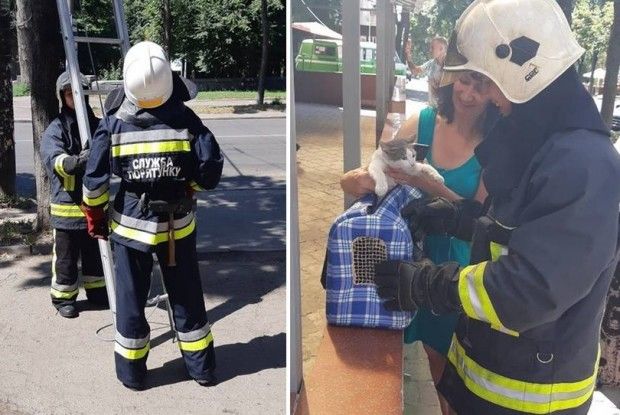 Рівненські рятувальники провернули спецоперацію «Кіт»