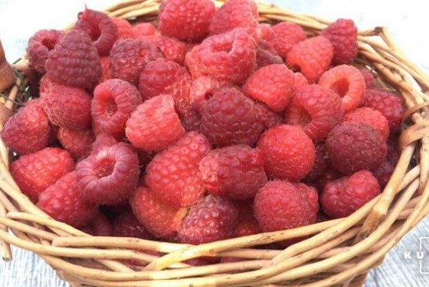 Цьогоріч в Україні збережуться високі ціни на малину