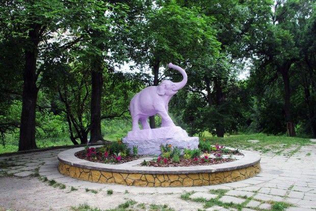 Був у Луцьку ботанічний сад — ​і не стало його…