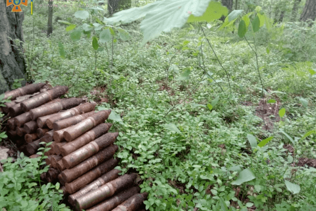 Під час збирання ягід у лісі волиняни знайшли арсенал боєприпасів (Фото)