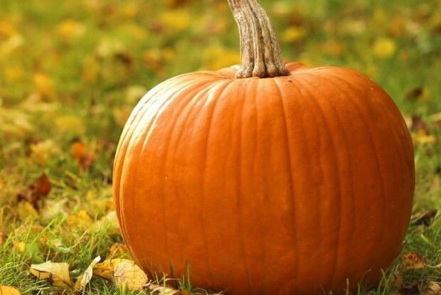 Якою буде погода на Волині