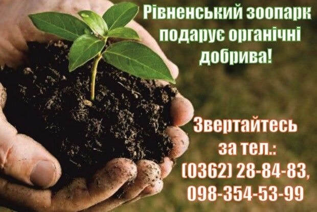 Рівненський зоопарк дарує охочим овечі й заячі бібки, жираф'ячі кізяки та бізонячі плескачі