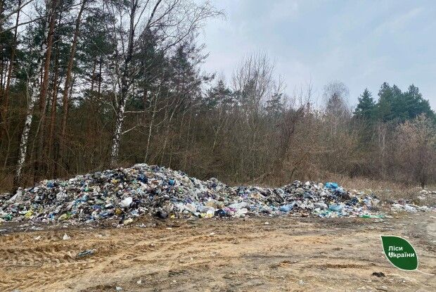 Хто заплатить за екологічні злочини на Рівненщині