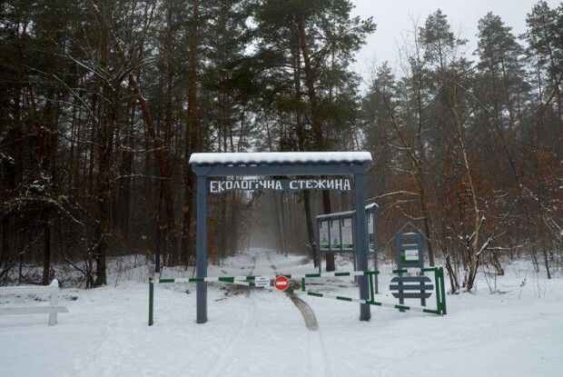 Лісівники Волині створили екологічні стежини 
