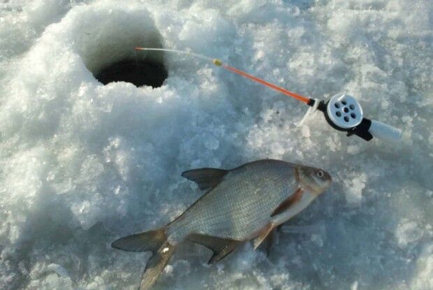 Волинська екоінспекція посилила патрулювання річок