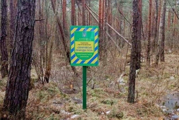 На Волині взяли під охорону 91 гектар пралісу