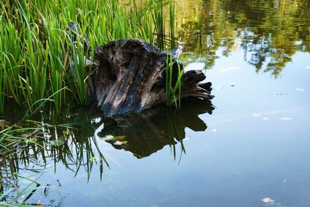 Їхав через місточок і вирішив його вкрасти