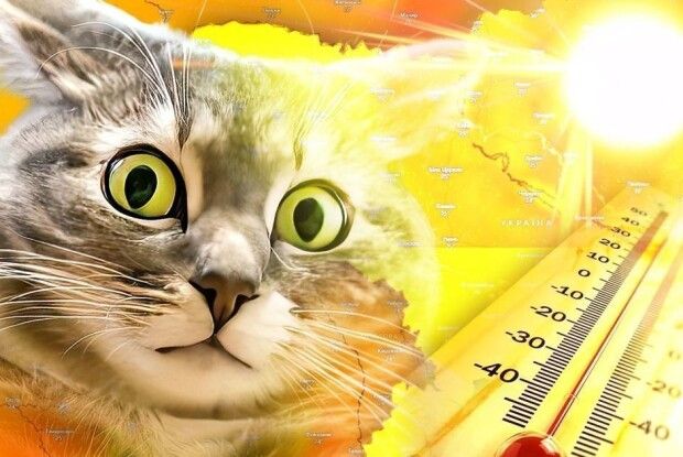 На Волинь йде африканська спека – буде +36⁰С! 