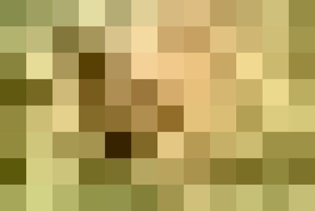 На Рівненщині рятували рідкісного червонокнижного птаха, який потрапив у пастку (Відео)