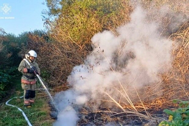 На Волині через людську недбалість горіли сухотрав'я, чагарники і торф