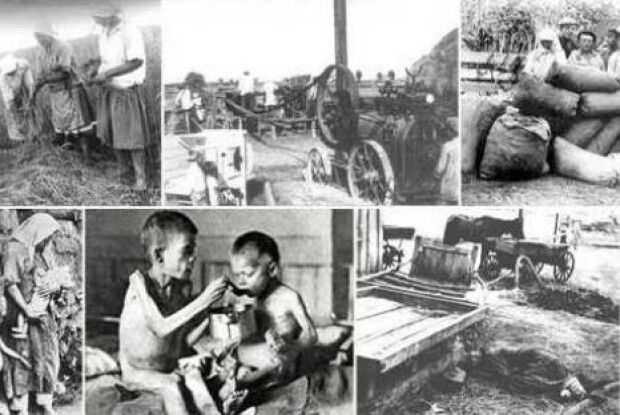 У 1931 році українців було 81 мільйон!