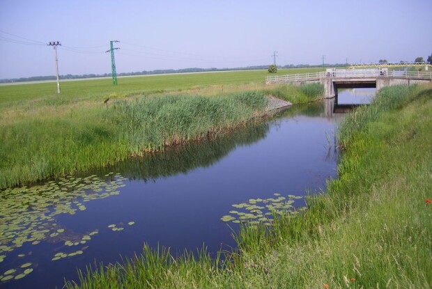 Від ураження струмом під ЛЕП загинув волинянин