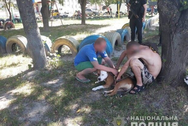 На ринку  у Луцьку чоловік вкрав їжу та нацькував собаку на очевидця