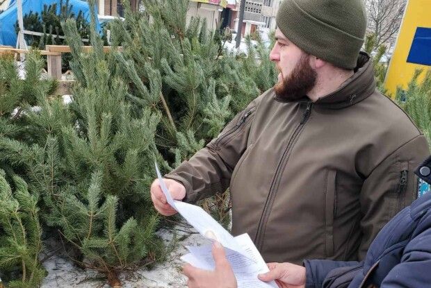 На Волині виявили незаконний продаж ялинок
