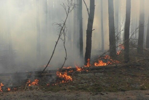 Кабмін виділив майже 45 мільйонів гривень на ліквідацію пожеж у Чорнобильській зоні