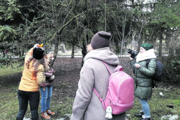 За фото з лисицею — ​скандал і заява у поліцію