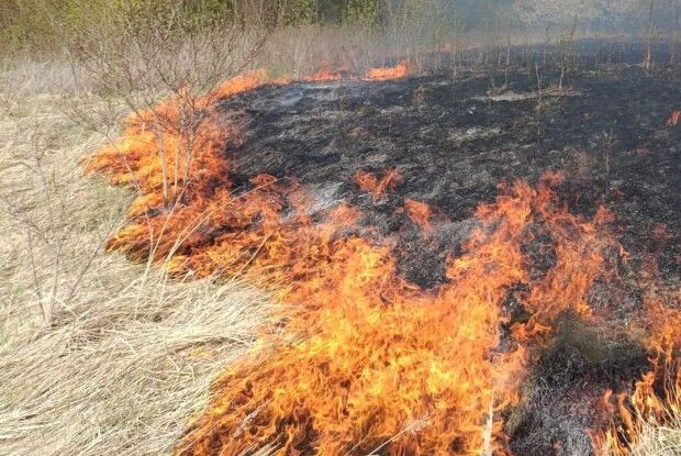 За добу на Волині вигоріло 2 гектари сухої рослинності (Відео)