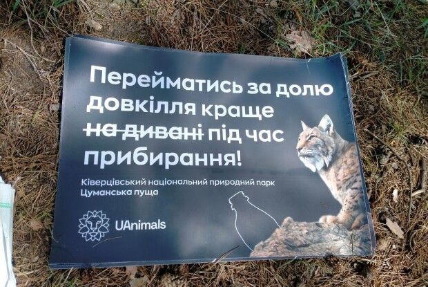 Волинський еко-десант розкрив брудні секрети Цуманської пущі