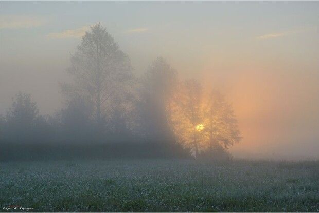 Холодно? А на Волинь насувається... спека!