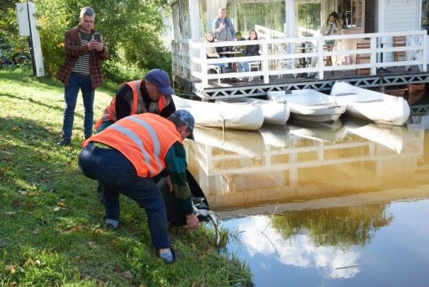 У Центральному парку Луцька зарибили канали 