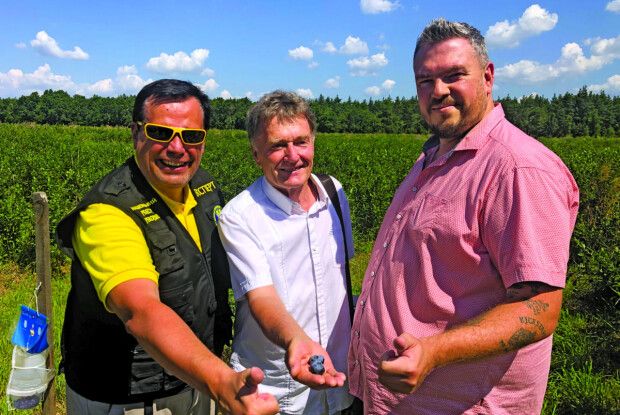 Показали найбільшу ягоду лохини, вирощену за органічною технологією в Україні 