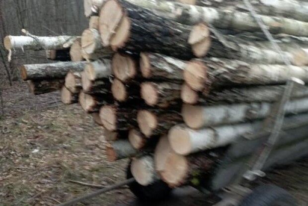 На Волині спіймали трьох порушників, які незаконно перевозили ліс 