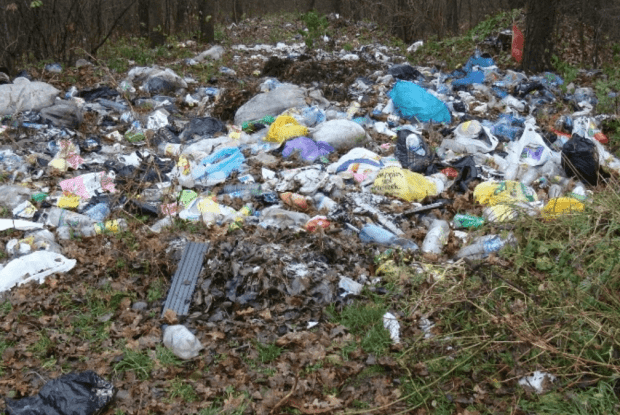 У громаді на Волині знайшли гори сміття – майже 150 тисяч гривень шкоди довкіллю