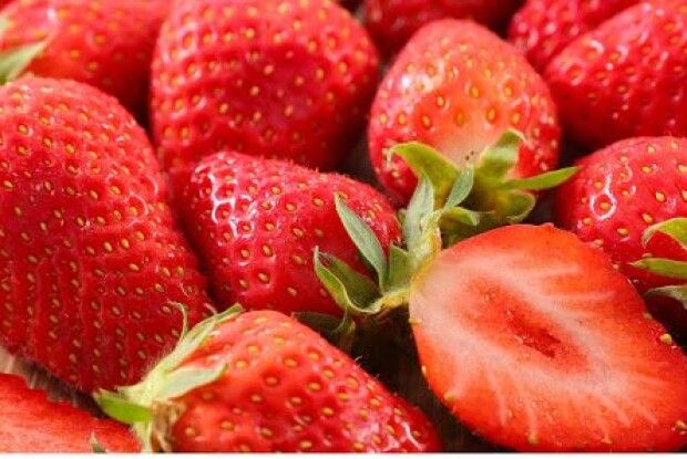 В Україні за 1 кг зібраних ягід платять вже більше, ніж у Польщі