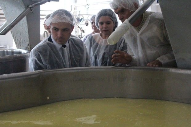 Молочні ріки й сирні береги, і процес народження сиру показали на «Рожищенському сирзаводі»