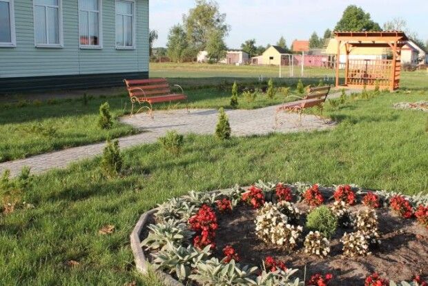 Лісівники допомогли школярам облаштувати Алею Слави у пам’ять про загиблого в АТО односельчанина