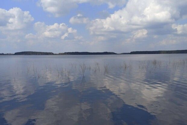 На Волині рибпатруль спіймав чергових порушників