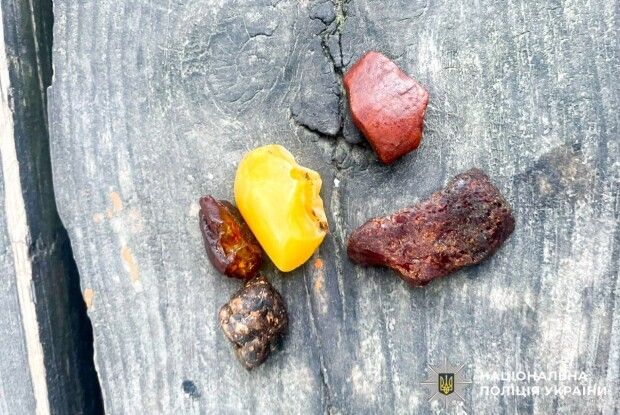 У поліщуків конфіскували два пакети з бурштином