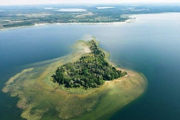 Хто господарює на Світязькому острові (Фото)