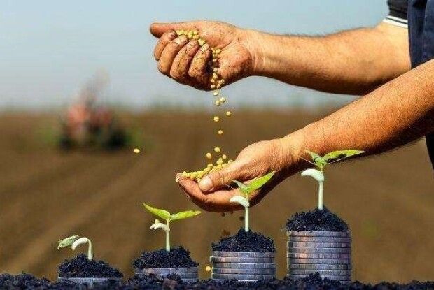 Агропідприємств Волині залучили понад 2,4 млрд грн кредитів на розвиток